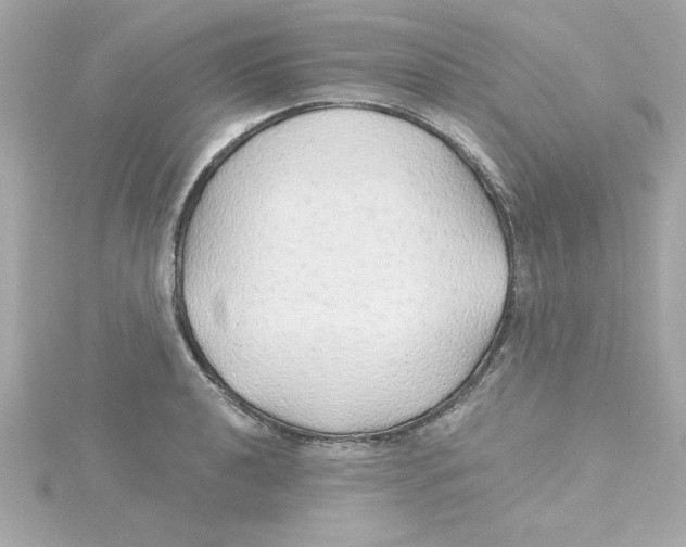 X0000115271040200911271941