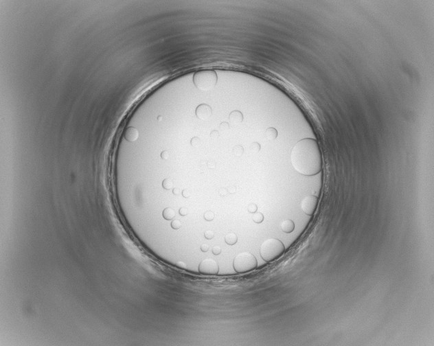 X0000115271042200911271941