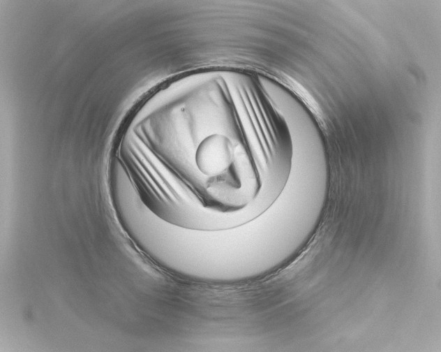 X0000115271043200911271941