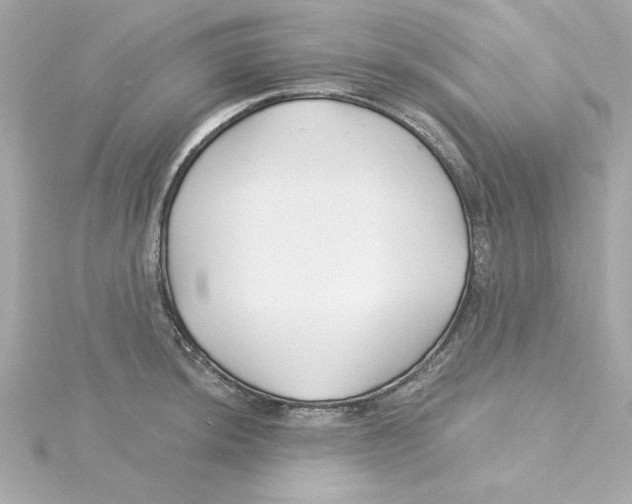 X0000115271044200911271941