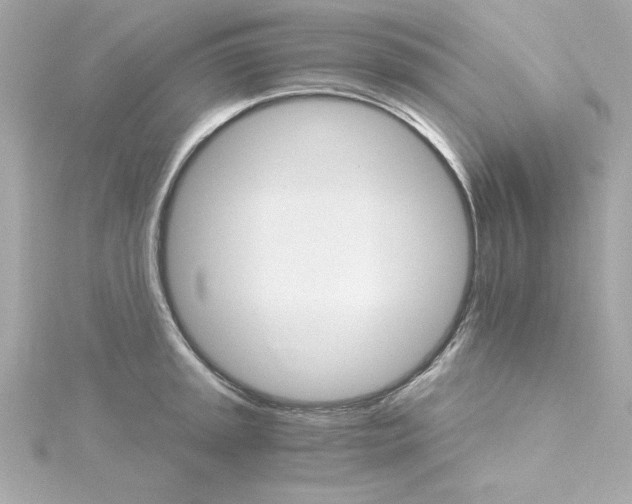 X0000115271045200911271941