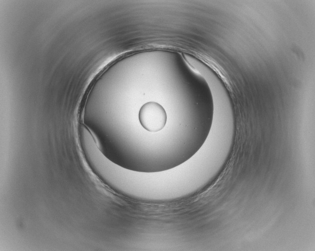 X0000115271047200911271941