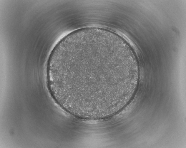 X0000115271048200911271942