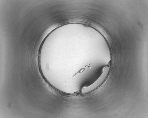 X0000115271050200911271942