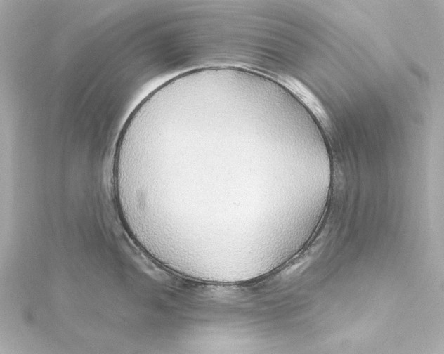 X0000115271052200911271942