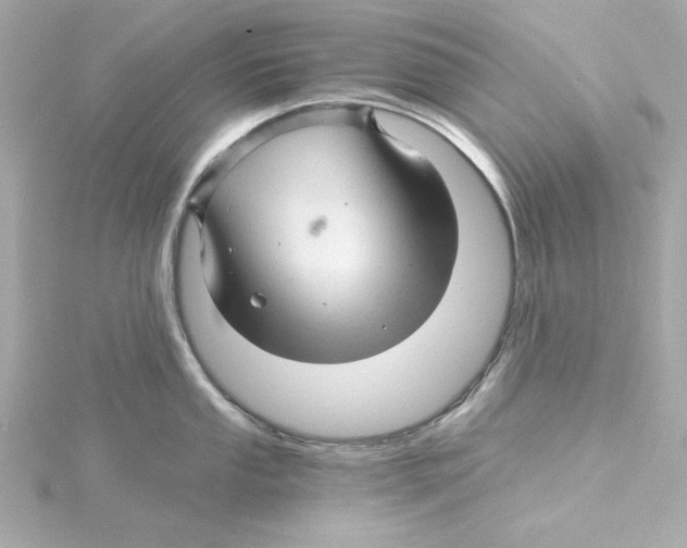 X0000115271053200911271942