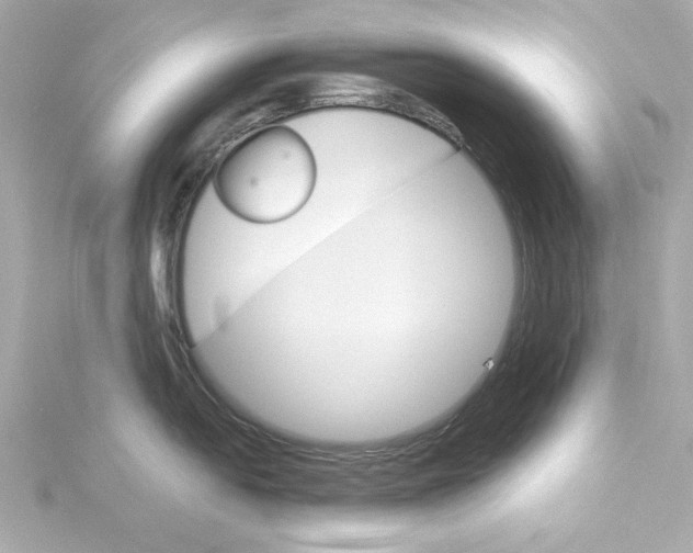 X0000115271054200911271942