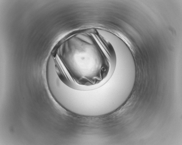 X0000115271055200911271942