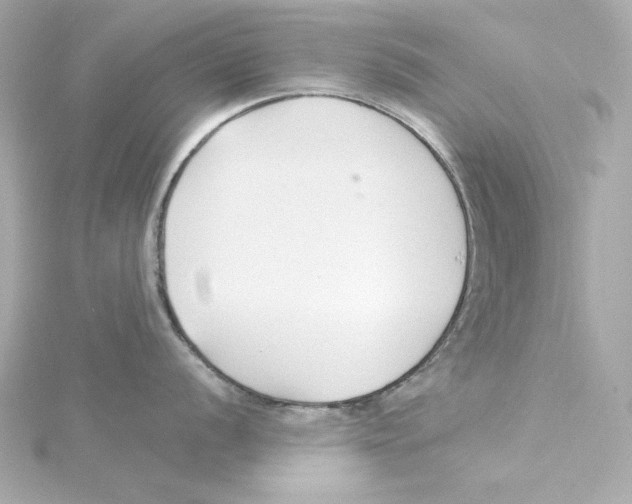 X0000115271056200911271942