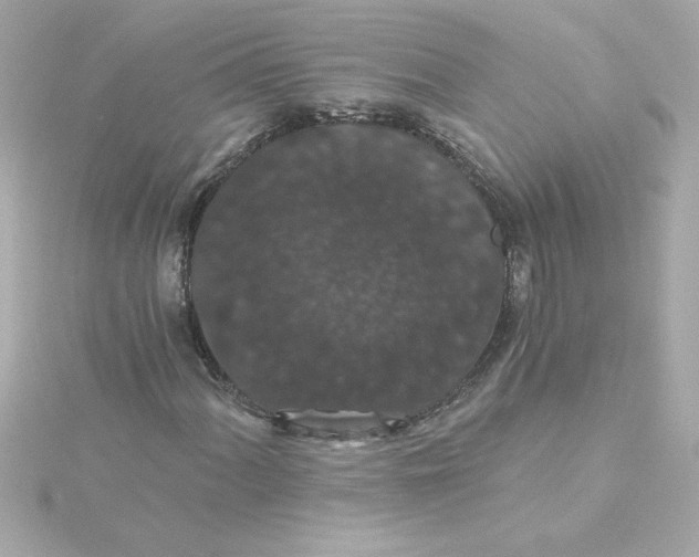 X0000115271060200911271941