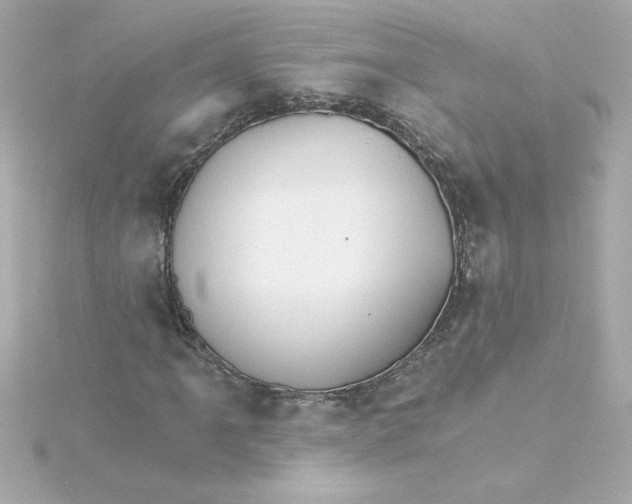 X0000115271061200911271941