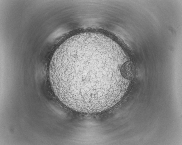 X0000115271063200911271941