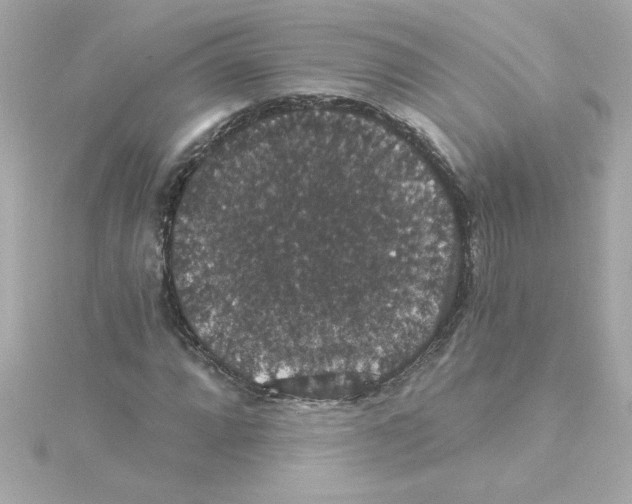 X0000115271064200911271941