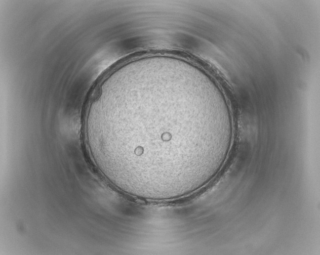 X0000115271065200911271941