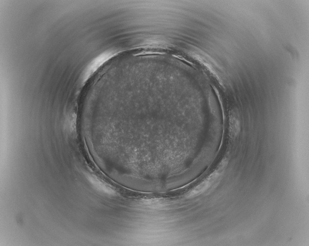 X0000115271066200911271941