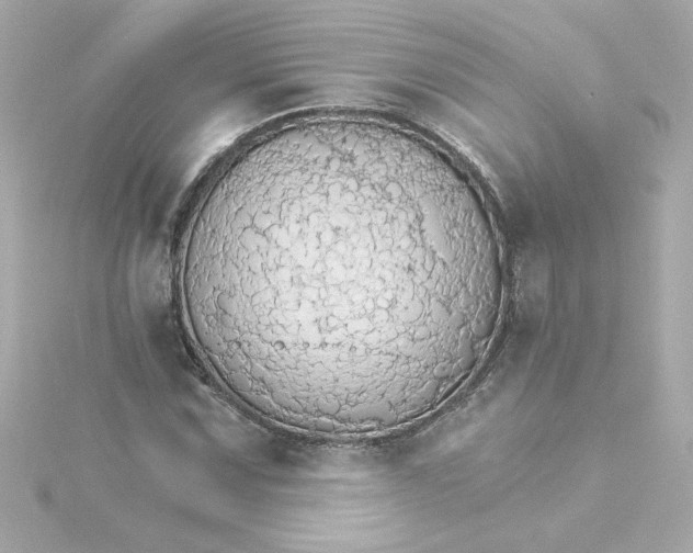 X0000115271067200911271941