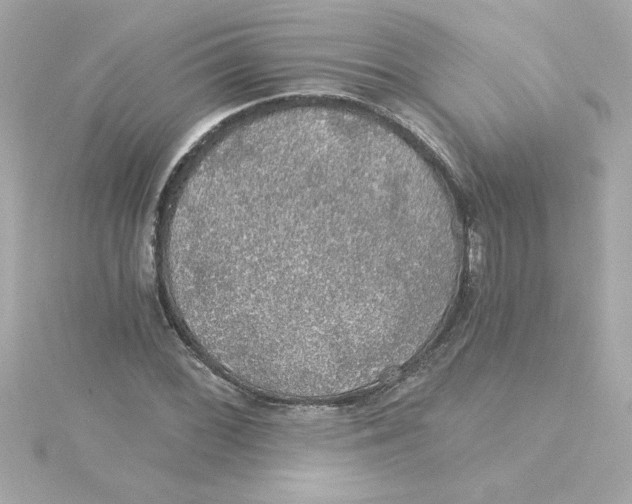 X0000115271068200911271941