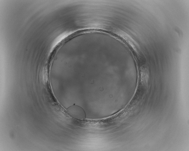 X0000115271069200911271941