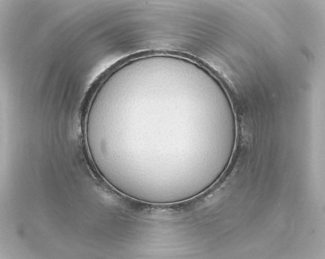 X0000115271070200911271941