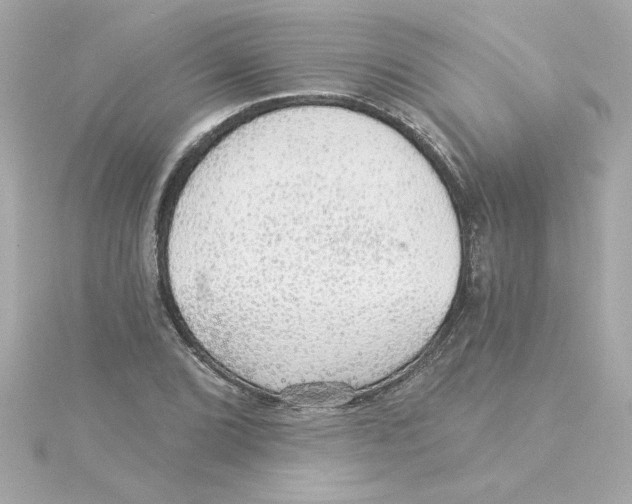 X0000115271072200911271941