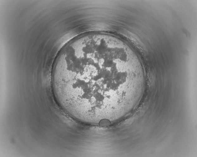 X0000115271073200911271941