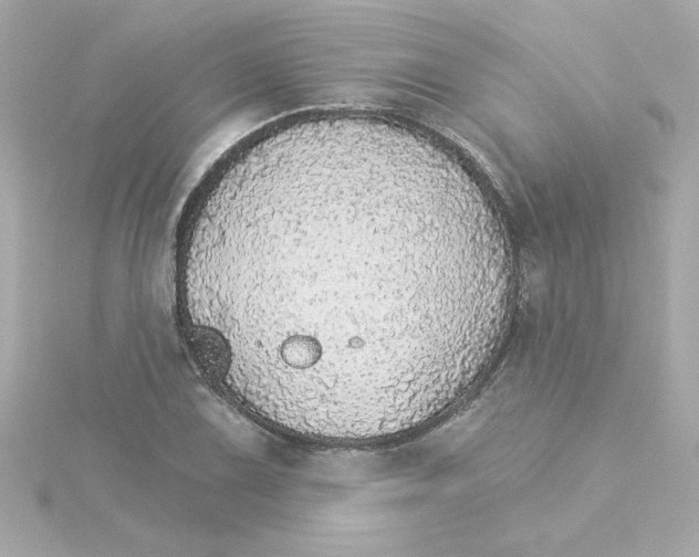 X0000115271075200911271941