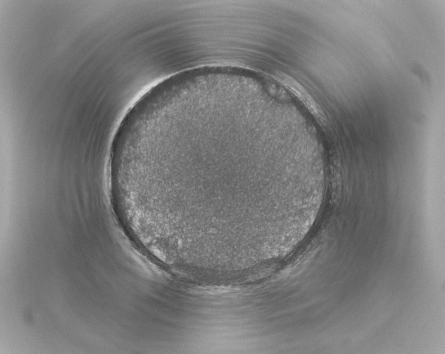 X0000115271076200911271941