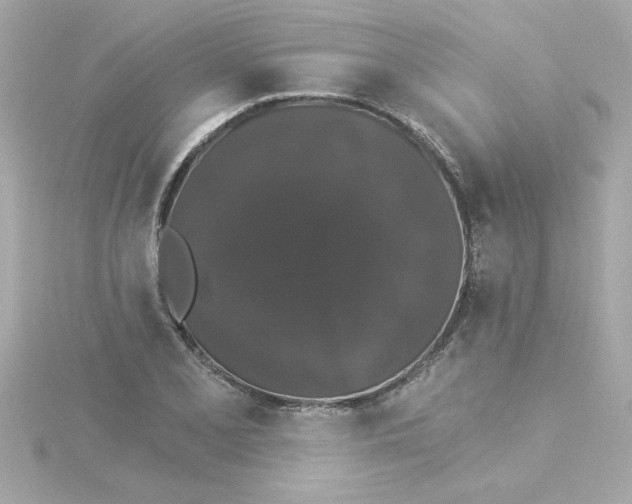 X0000115271077200911271941