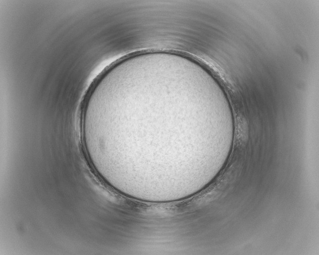 X0000115271078200911271941