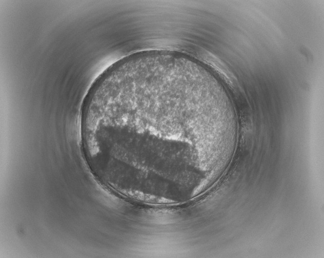 X0000115271079200911271941