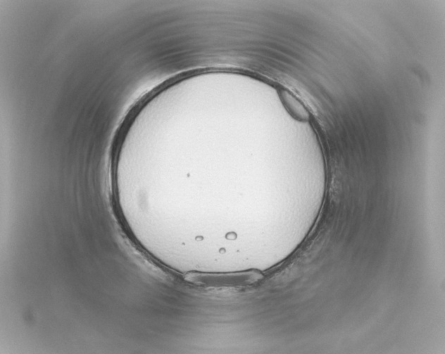 X0000115271080200911271941