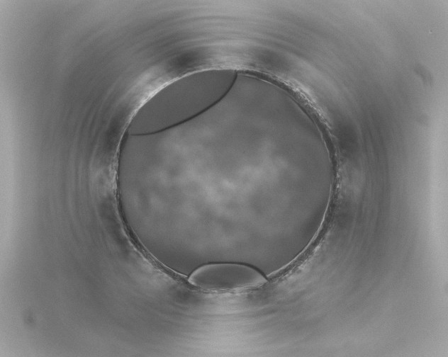 X0000115271081200911271941