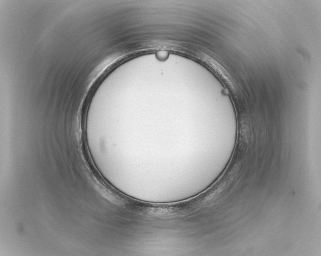 X0000115271082200911271941