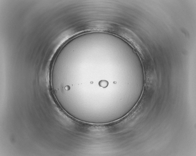 X0000115271083200911271941