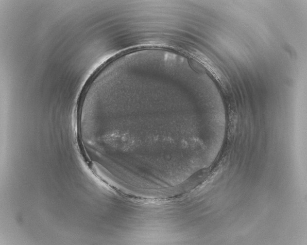 X0000115271084200911271941