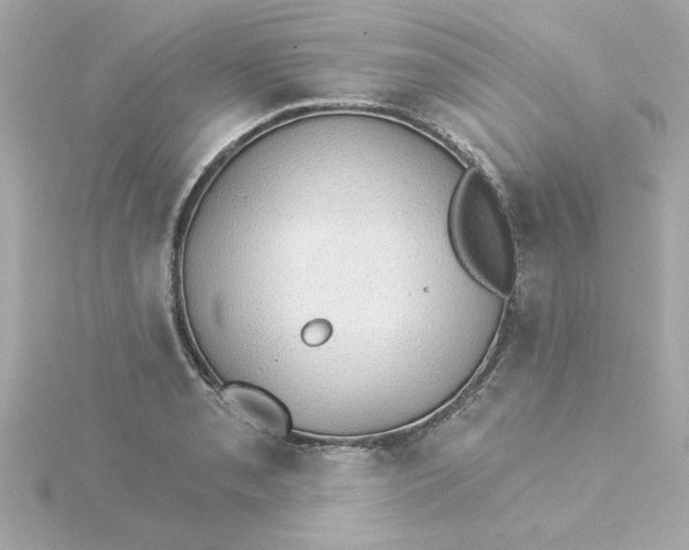 X0000115271085200911271941