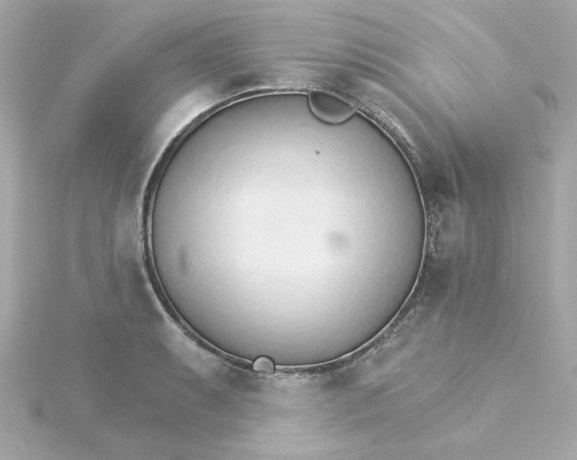 X0000115271087200911271941