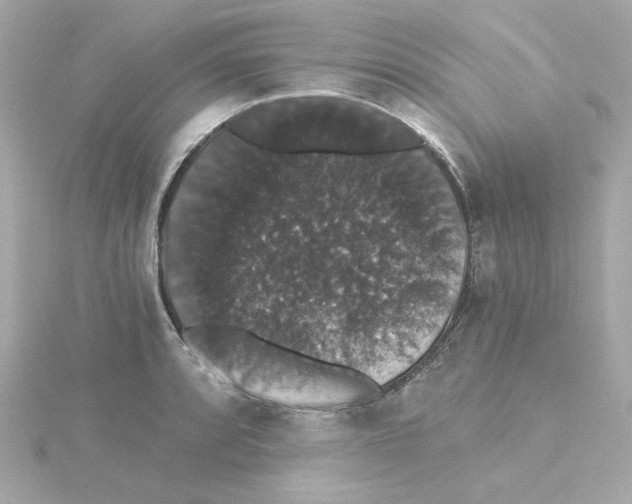 X0000115271088200911271941