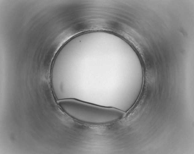 X0000115271089200911271941