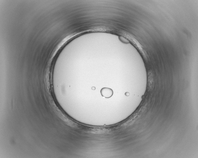 X0000115271091200911271941