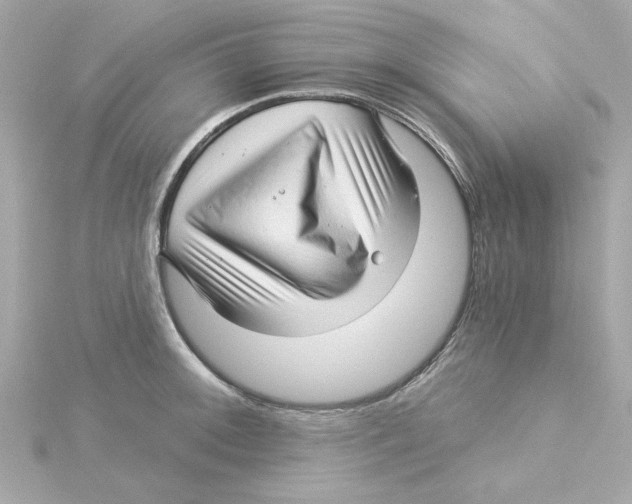 X0000115271092200911271941