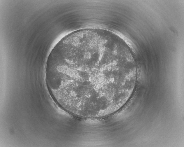 X0000115271094200911271941