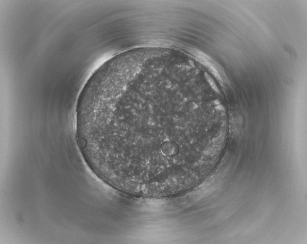 X0000115271095200911271941