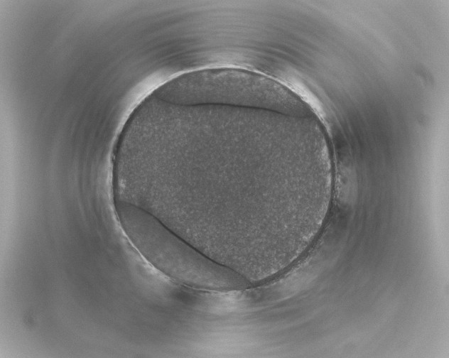 X0000115271096200911271940