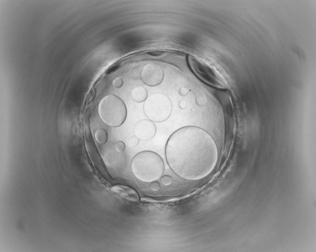 X0000115271097200911271940