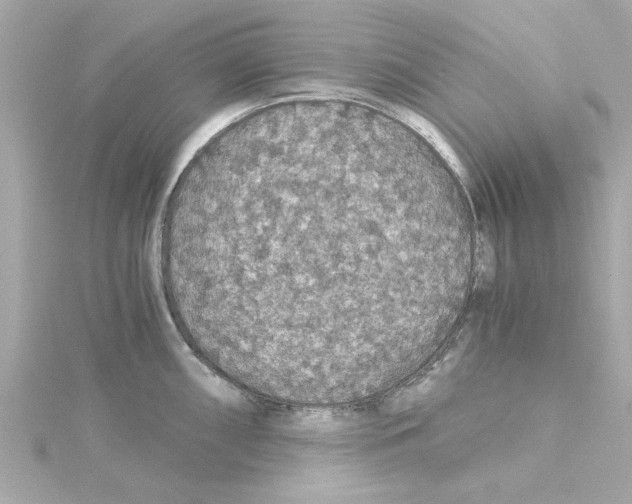 X0000115271098200911271940