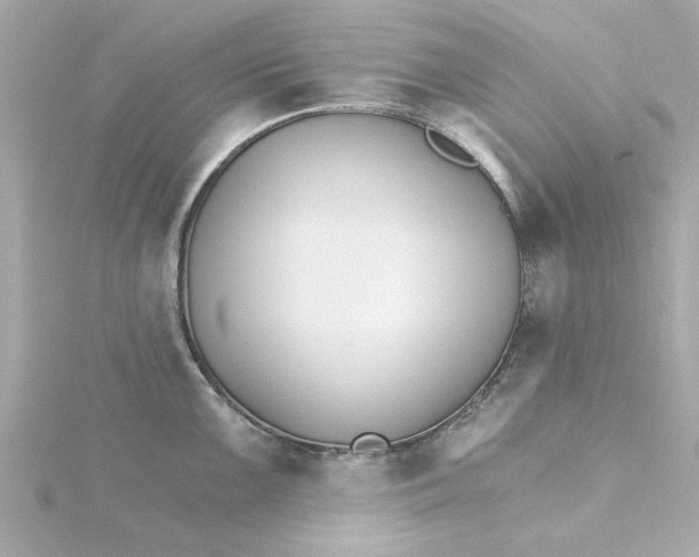 X0000115271099200911271940