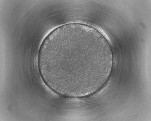 X0000115271100200911271940