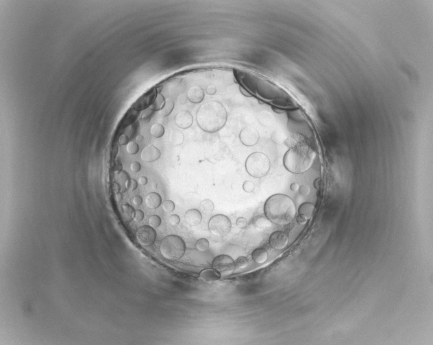 X0000115271101200911271940