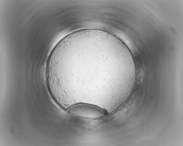 X0000115271103200911271940